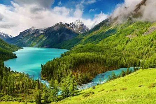 Lago de montaña de agua turquesa rodeado de bosque y praderas